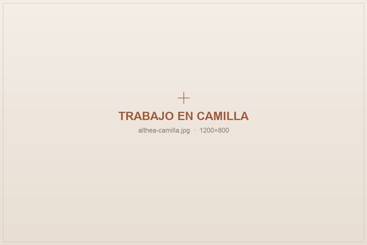 Trabajo en camilla