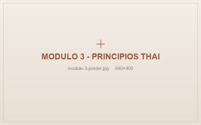 Módulo 03 — Principios del masaje Thai